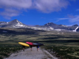 Kayakers Walking to Ula River  Rondane National Park  Oppland  Norway