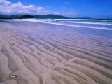 Low Tide on Cox Bight Beach  South Coast Track  Tasmania  Australia
