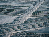 4Wd Tyre Tracks on Sand  Fraser Island  Queensland  Australia