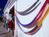Hammocks for Sale in a Curio Shop on the Mulega Waterfront  Mulege  Mexico