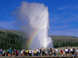 Tourists Watching Old Faithful Geyser  Yellowstone National Park  USA