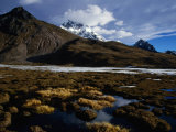 Marsh Near Laguna Comercocha with Summit of Ausangate Behind  Cuzco  Peru