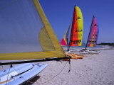 Boats on Beach  Dubai  United Arab Emirates