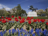 Andrew Jackson Statue  Washington  DC  USA
