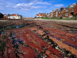 Seaside Resort Town at Low Tide North Berwick  East Lothian  Scotland