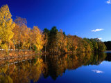 Autumn Lakeside Trees  Halland  Sweden