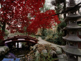 Japanese Garden Hillwood Museum and Gardens  Washington  DC USA