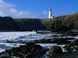 Lighthouse in Yaquina Head Natural Area  USA