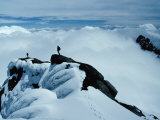Mountaineers on Ridge of Alexandra Peak  Mount Stanley  Ruwenzori National Park  Kasese  Uganda