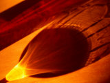 Shadow of Glass of Cognac Melbourne  Victoria  Australia