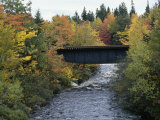 Skinner Brook  Nova Scotia  Canada
