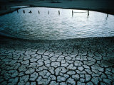 Dry River Bed  Lake Eildon in Drought  Eildon  Australia