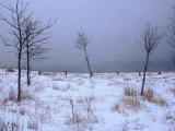 Snow on Scarborough Bluffs  Toronto  Canada