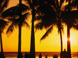 A Waikiki Winter Sunset  Honolulu  Oahu  Hawaii  USA