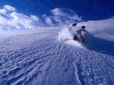Skier Descending in Powder Snow  St Anton Am Arlberg  Vorarlberg  Austria