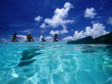 Four Women Paddling Outrigger Canoe on Lagoon at Haapiti  Moorea  the French Polynesia