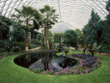Longwood Gardens  Kennett Square  Pennsylvania  USA