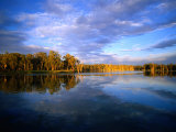 Trees on River Banks Reflected in Slow Moving Waters of Murray River  Victoria  Australia