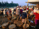 Crowds of People with Baskets at Early Morning Fish Market  Hoi An  Quang Nam  Vietnam