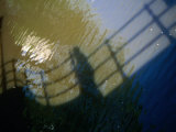 Shadow of a Person Walking Across Bridge on Canal Water  Amsterdam  Netherlands