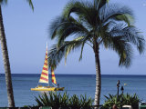Hawaii  USA