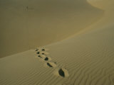 Tracks in the Sand Dunes on Fraser Island
