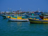 Colorful Fishing Boats  Alexandria  Egypt