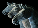 A Line of Re-Assemnbled Terra-Cotta Horses Heads