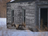 Rural Area Around Gimli