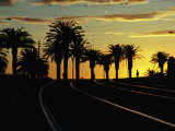 Sunset on Tram Tracks of St Kilda Esplanade  Melbourne  Australia