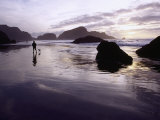 Person Walking Dog at Sunset  Cape Sebastian  OR