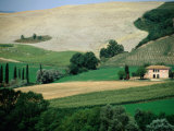 Tuscan Landscape Near San Gimignano  San Gimignano  Tuscany  Italy