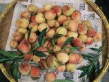 Peaches are for Sale at a Street Market