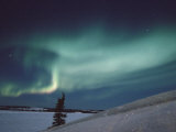 A Brilliant Display of Aurorae