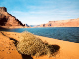 Dungeon Canyon  Lake Powell