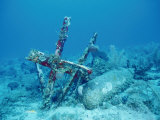 Fragments of Shipwreck off the Bakhama Islands