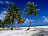 Beach and Lagoon  French Polynesia