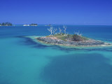 Azure Waters  Mangrove Lagoon