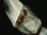 Lock of Hair in a Family Bible