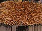 A Huge Bundle of Carrots Fills a Sidewalk Stall