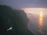A Gull Soars Above Coastal Cliffs in Alaska