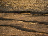 The Golden Surf Crashes on the Olympic Peninsula at Sunset