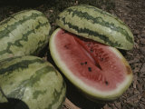 Close View of Ripe Watermelons  One Split in Half to Show Color