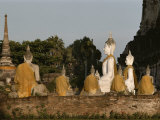 Cloth Draped Statues of Buddha Fill a Courtyard