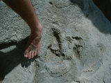 Human Tracks Preserved in Rock That Date Back 117 000 Years Ago