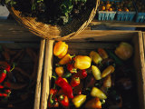 Organically-Grown Peppers are Featured at the Cary Farmers Market