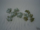 Dune Cabbage and Sea Spurge Growing in the Sand