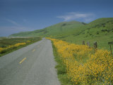 A View Along Highway 1  North of San Francisco
