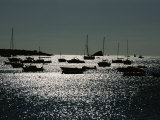 An Afternoon Sun Highlights Fishing Boats Docked in Harbor Waters
