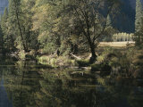 Autumn View Along the Merced River